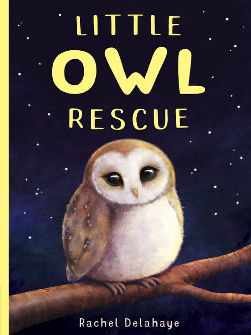 Title details for Little Owl Rescue by Rachel Delahaye - Wait list